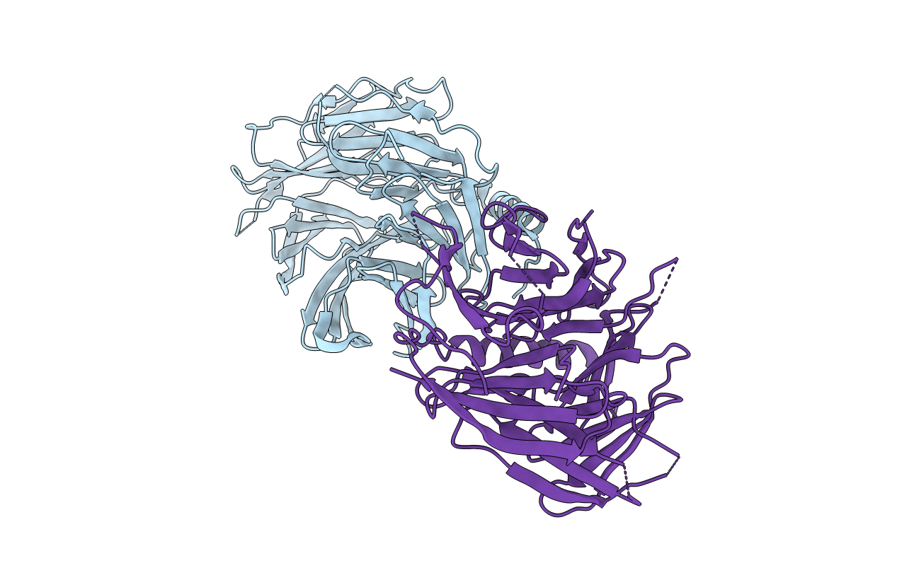 5M8C image