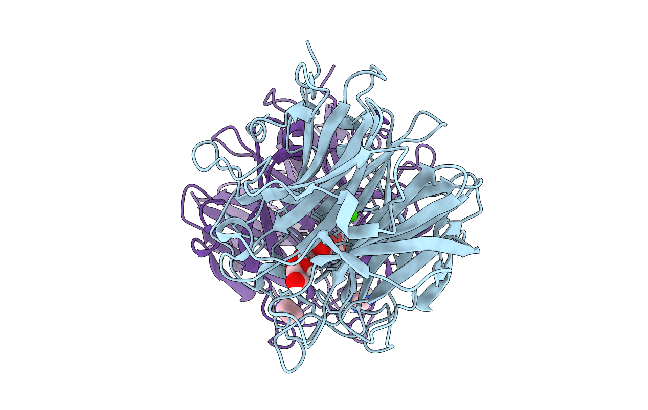 5M8E image