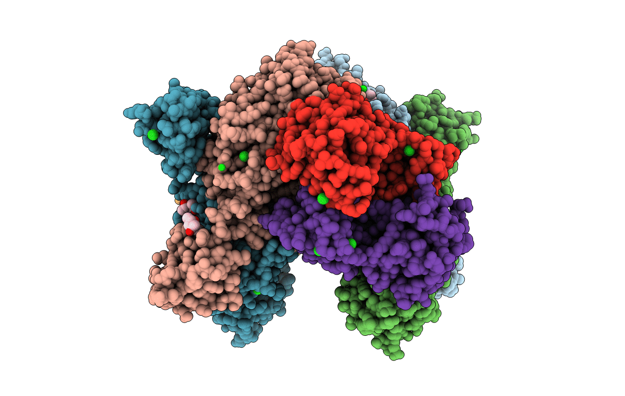 5M8H image
