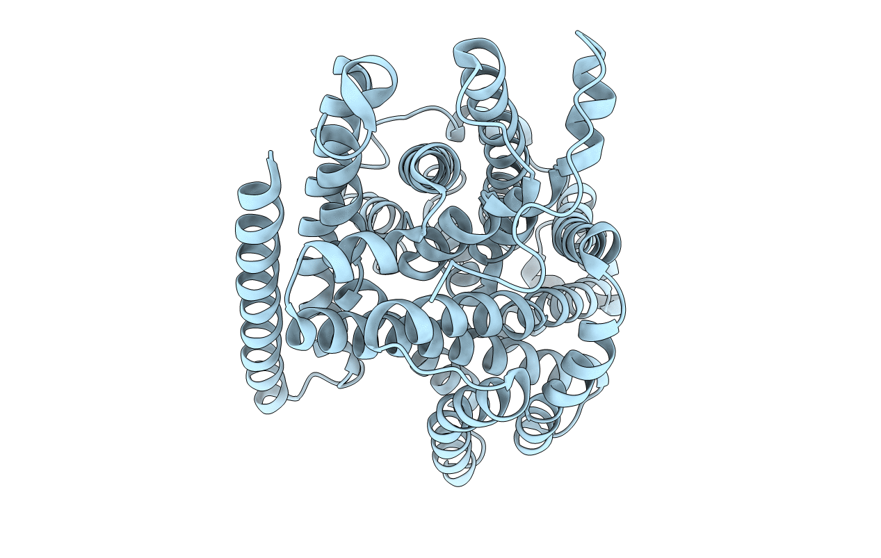 5M8K image