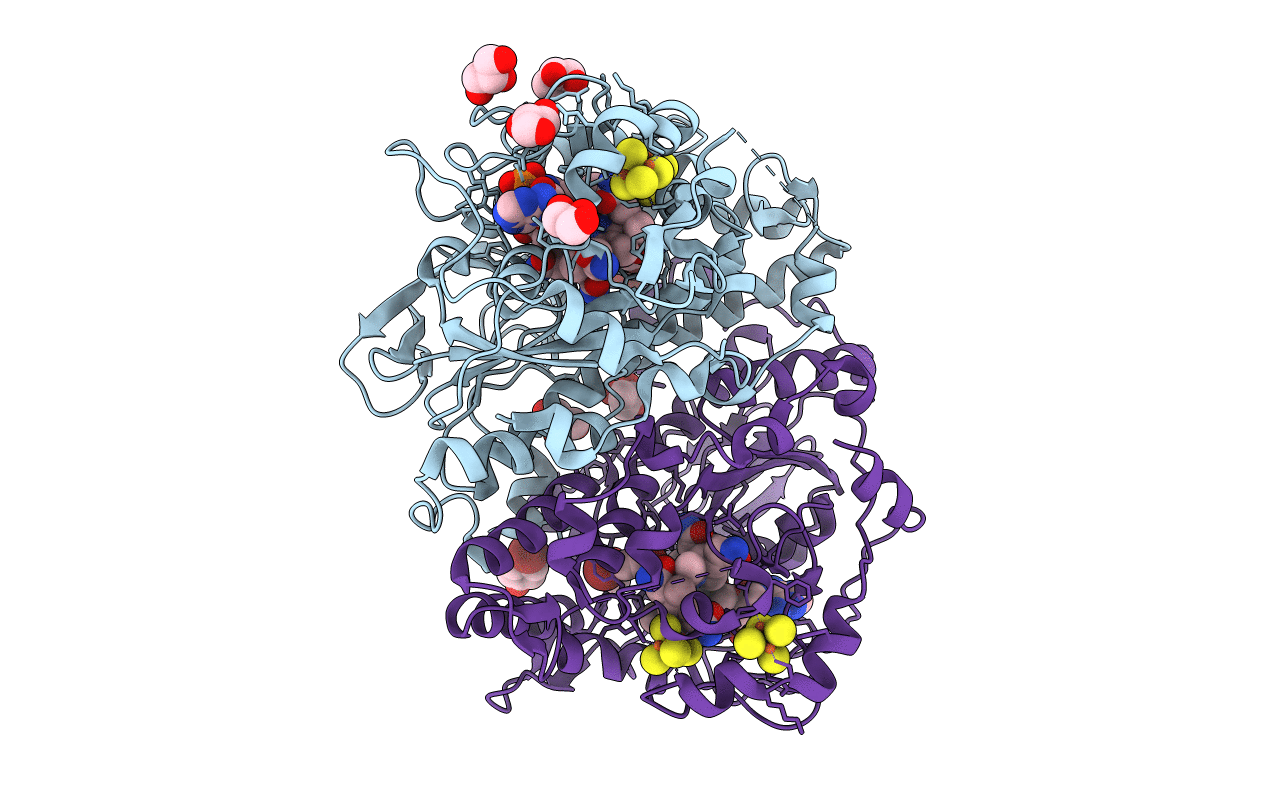 5M8U image