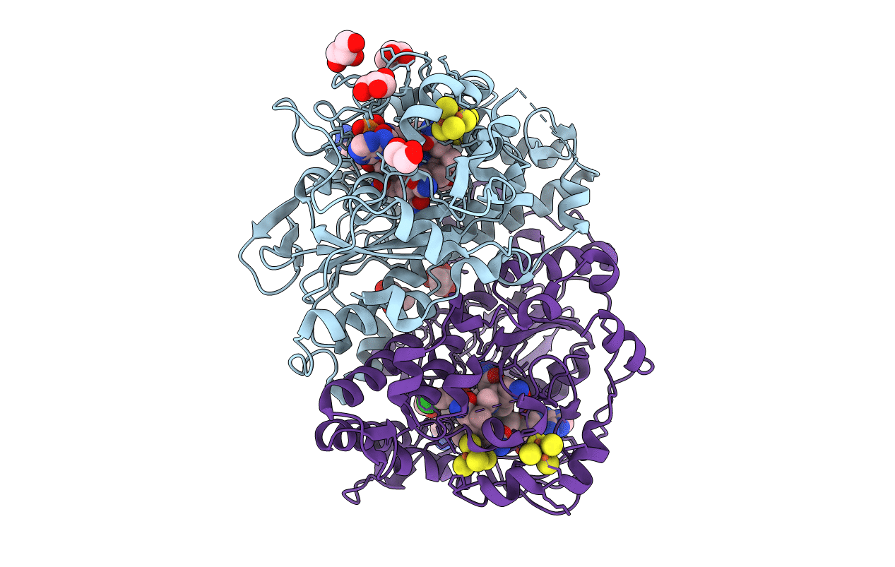 5M8W image