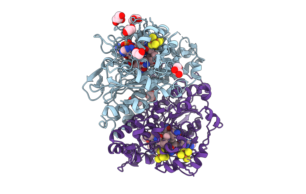 5M8Z image
