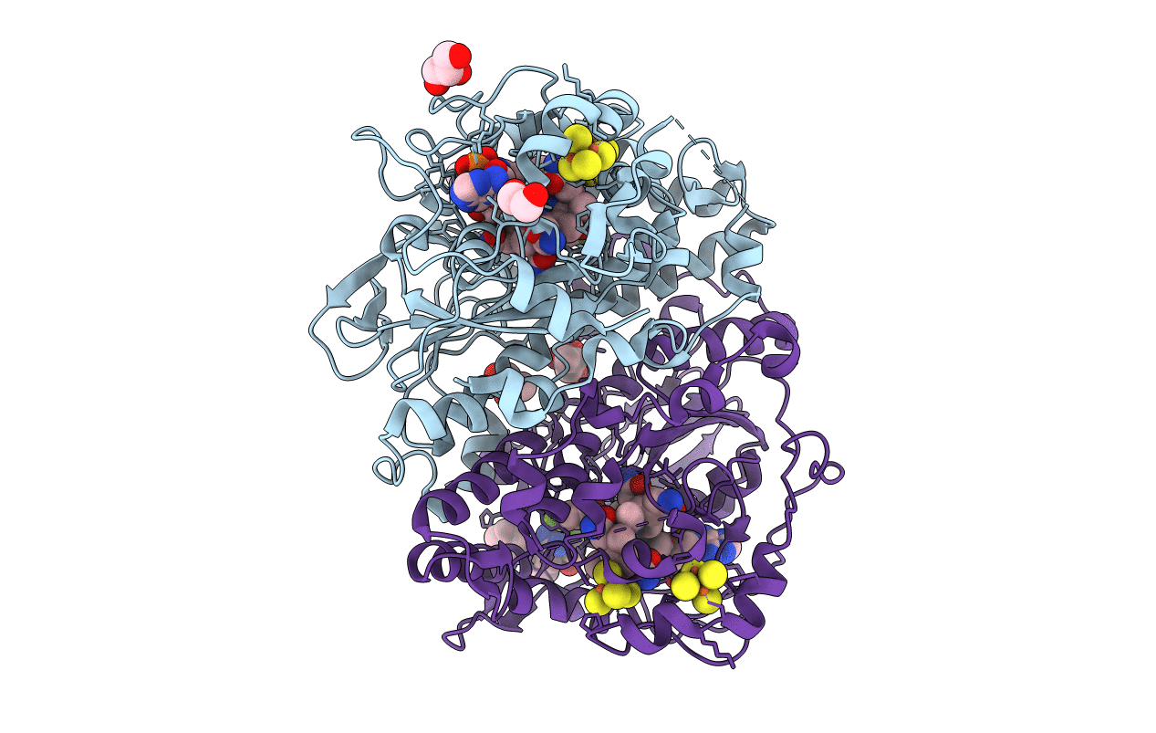 5M90 image