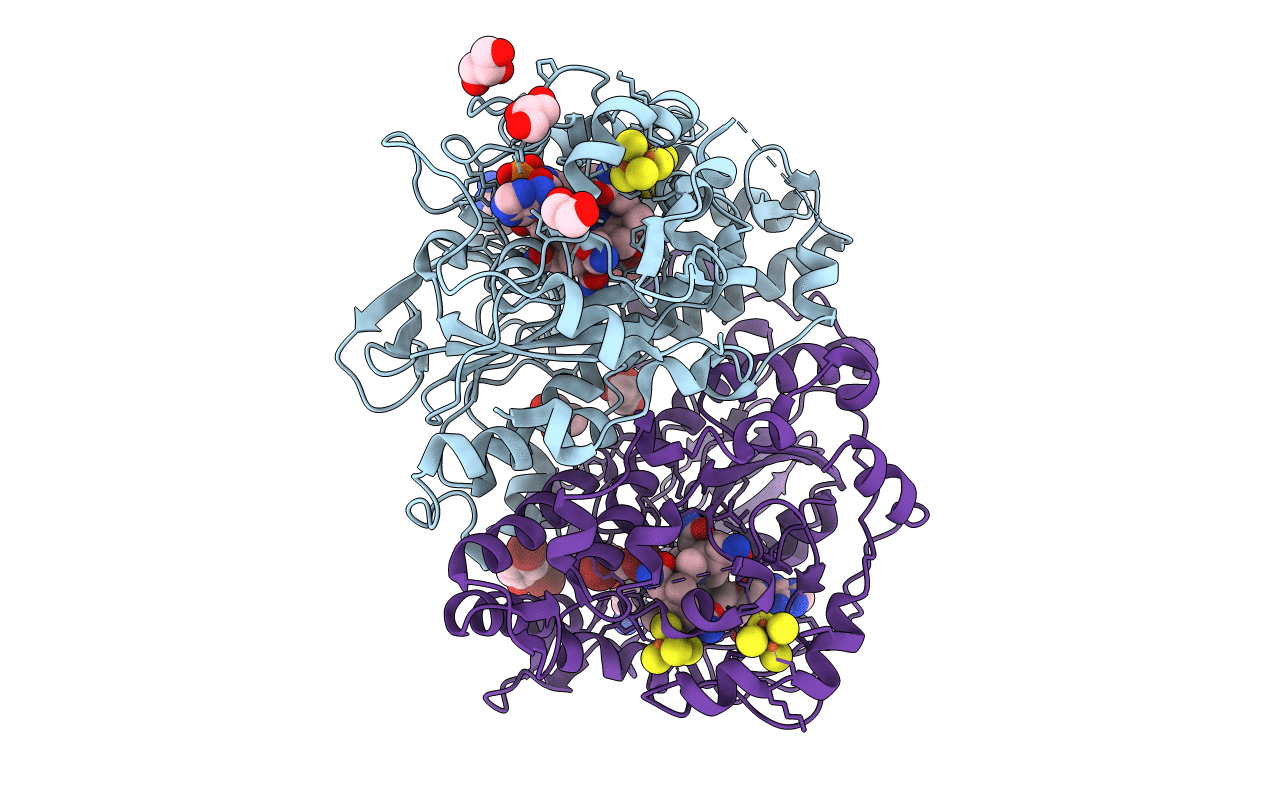 5M92 image