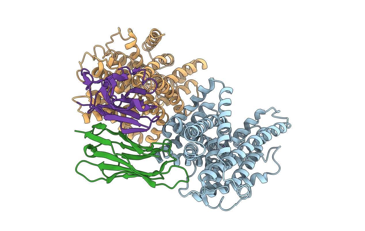 5M95 image