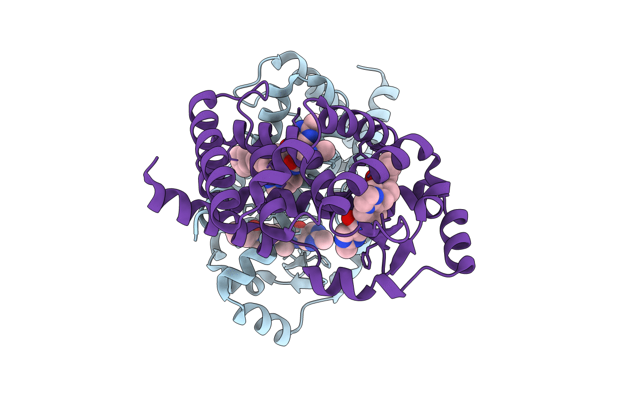 5M96 image