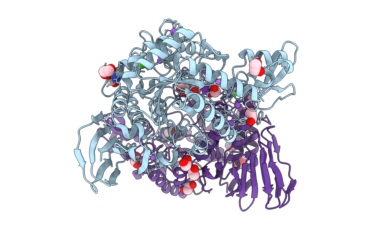 5M99 image