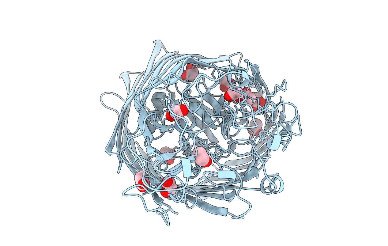5M9B image