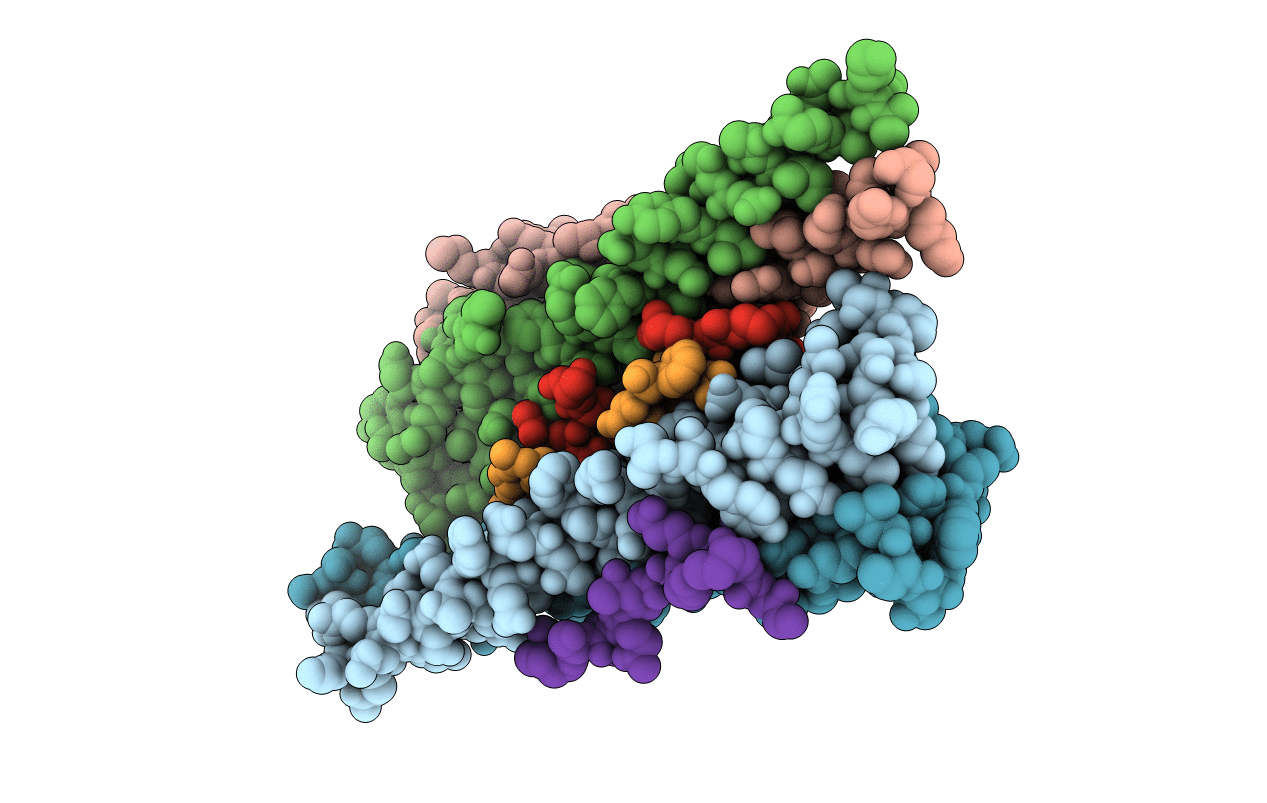 5M9E image