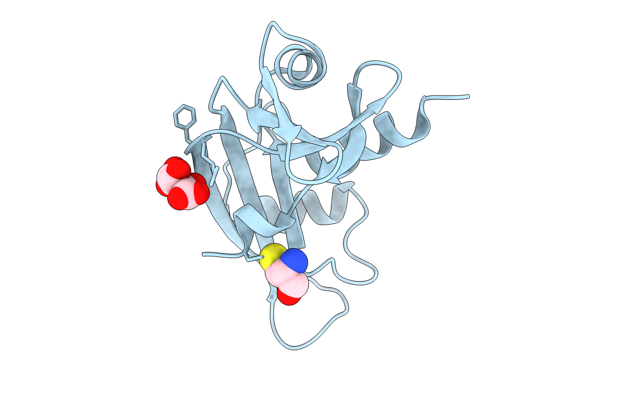 5M9V image