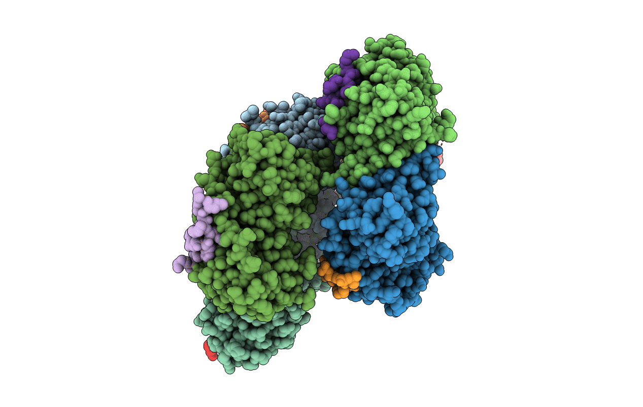 5MAV image