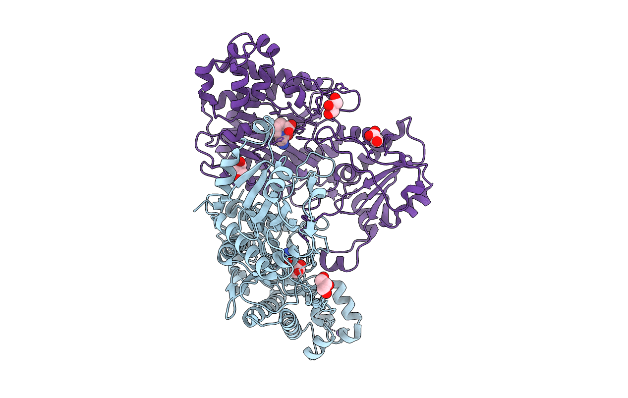5MBZ image