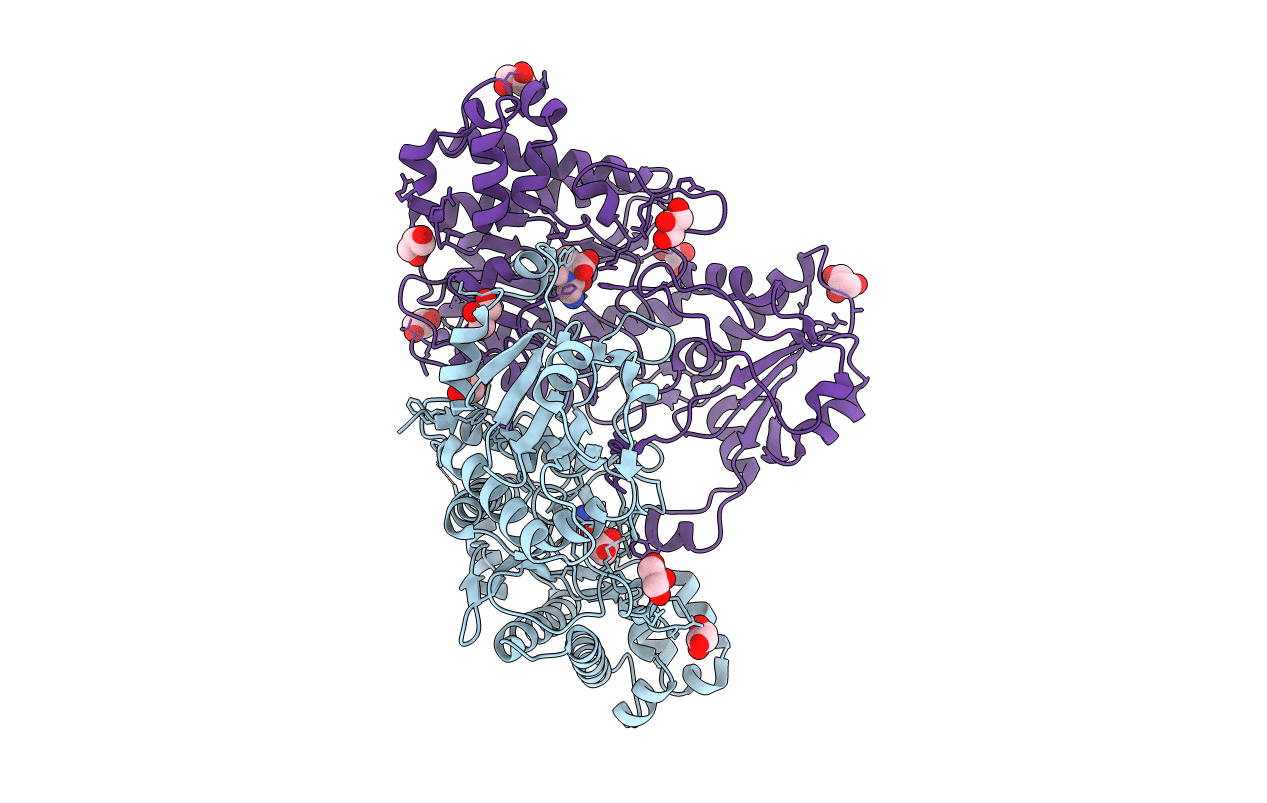 5MC3 image