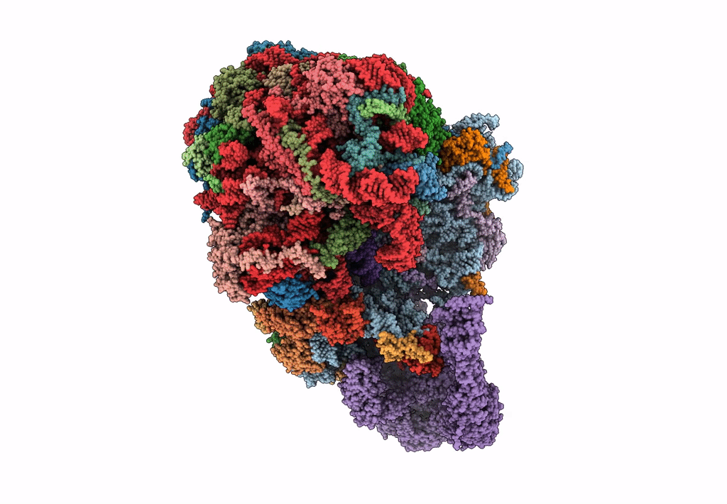 5MC6 image
