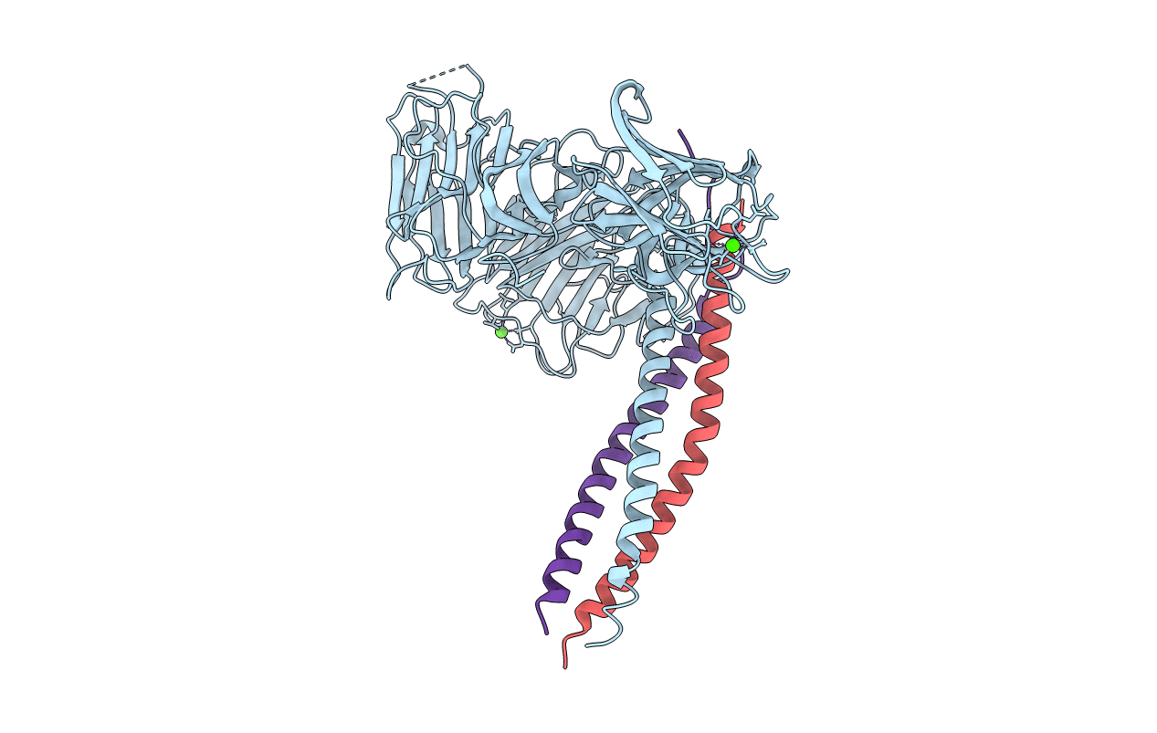5MC9 image