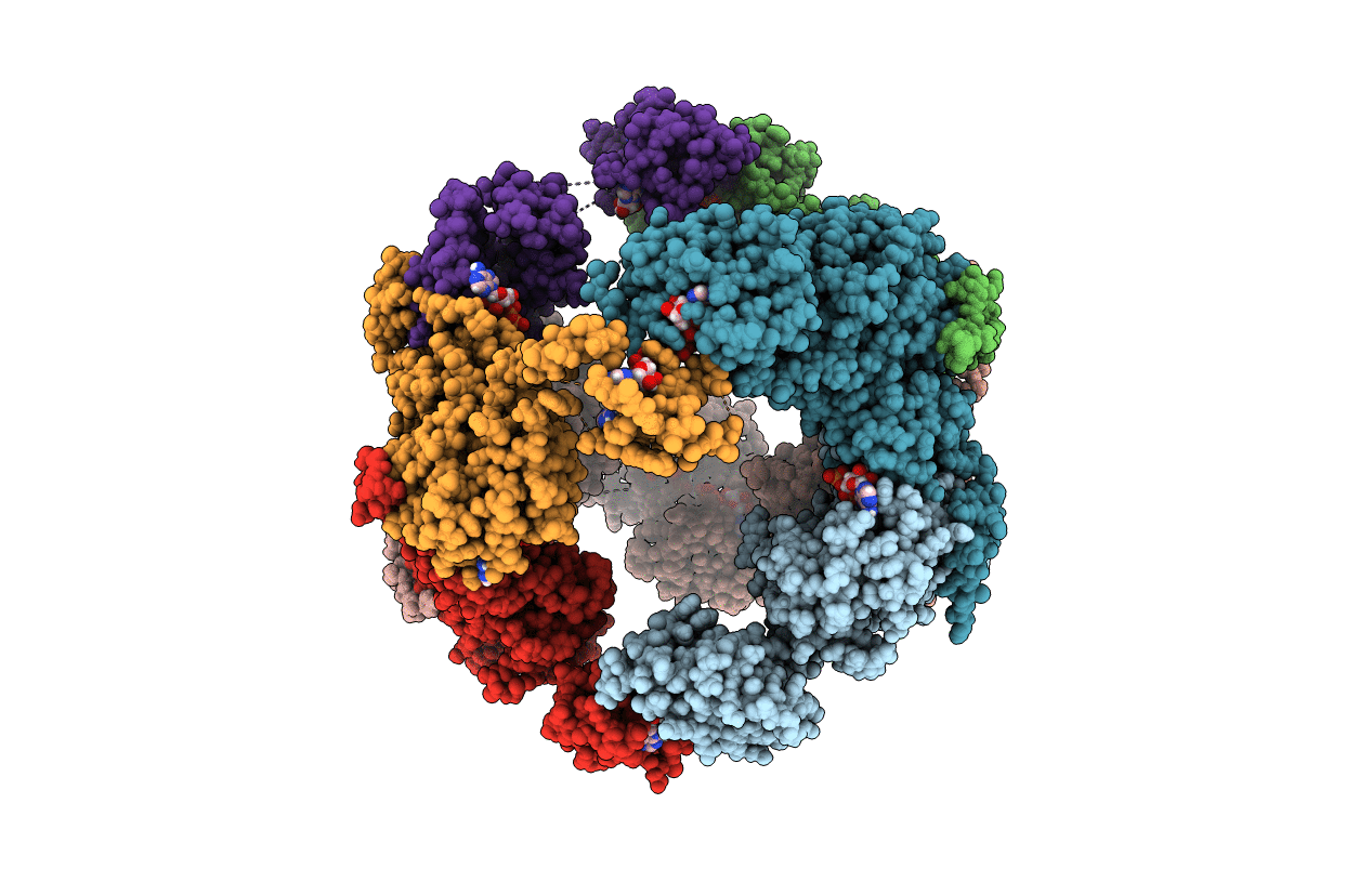 5MCP image