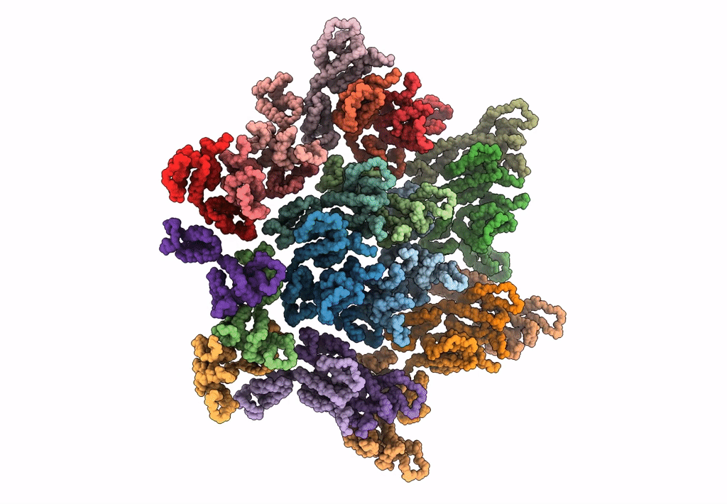5MCX image