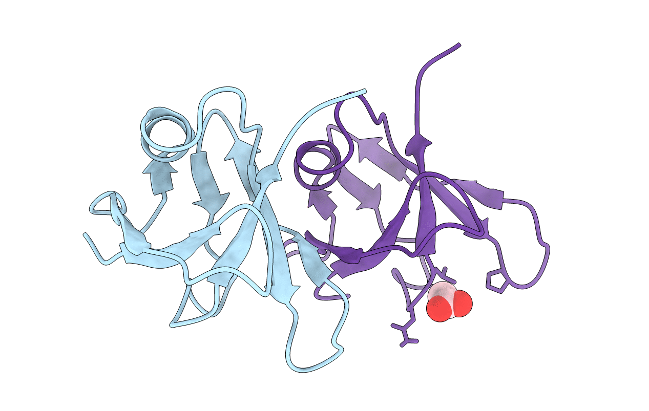 5MDI image