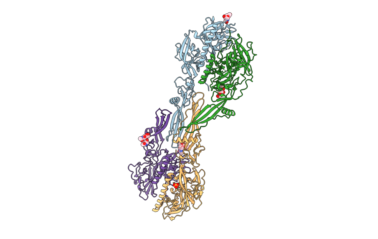 5MDM image