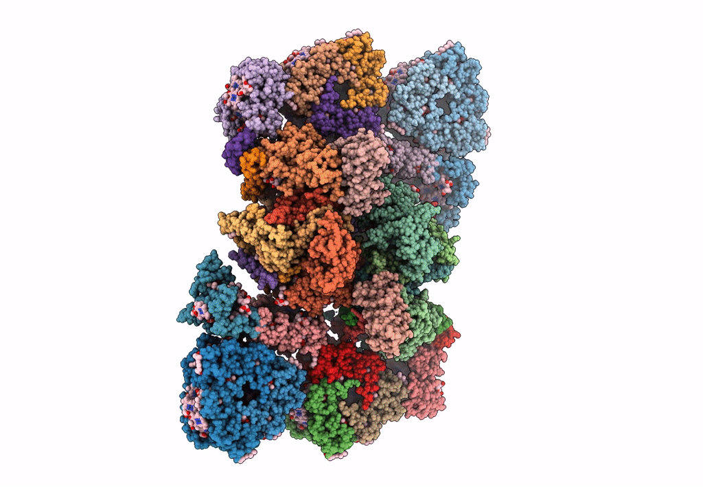 5MDX image