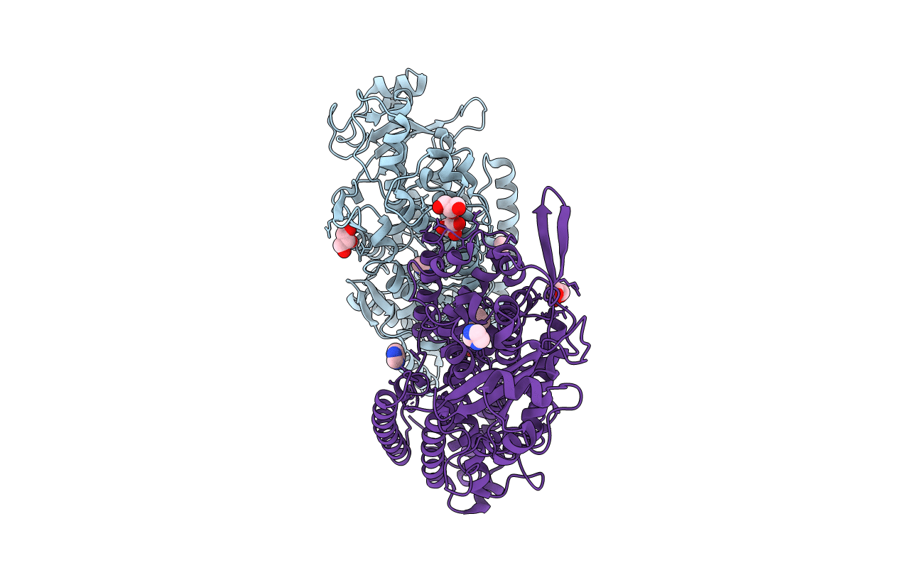 5MEF image