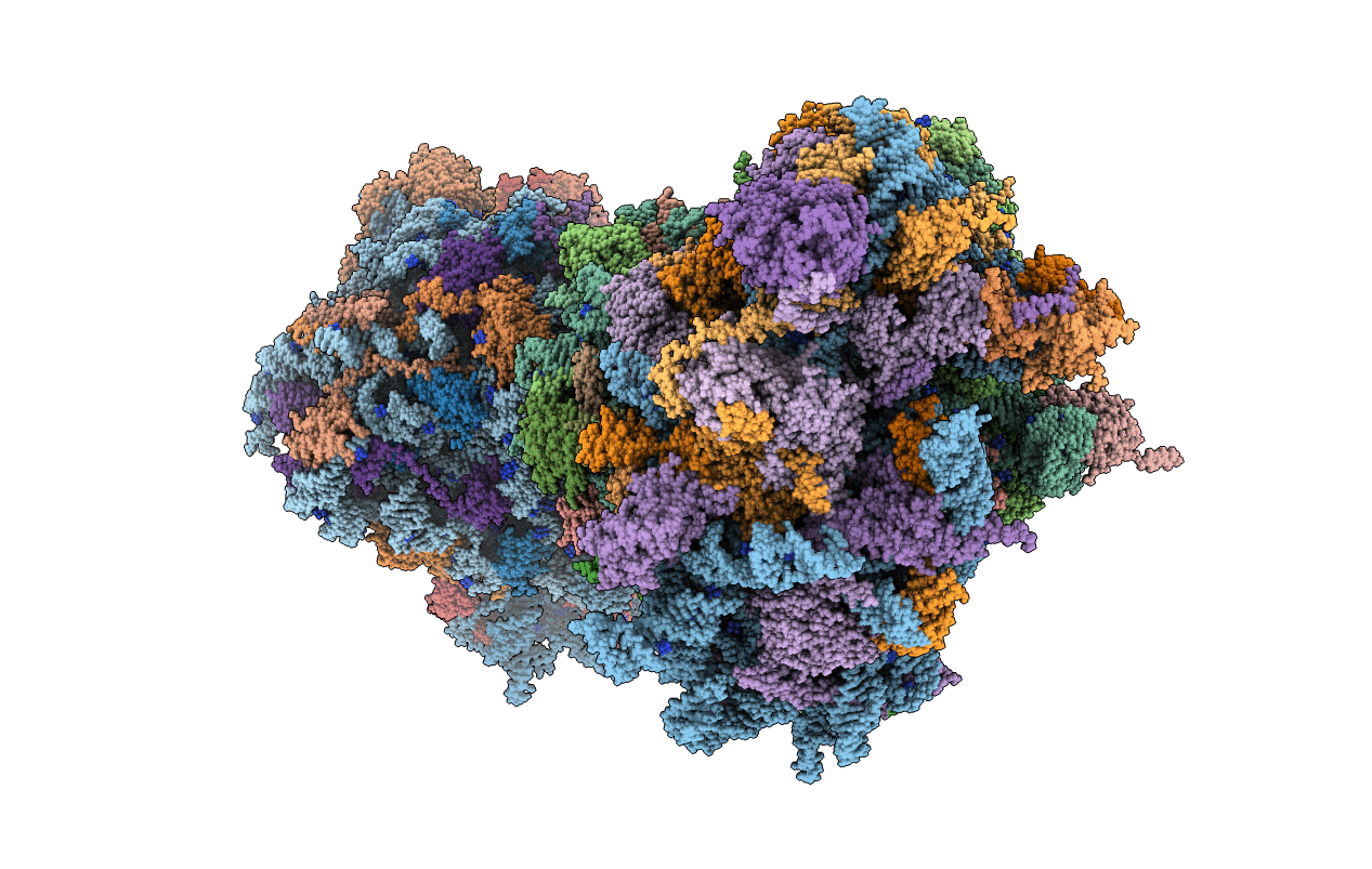 5MEI image