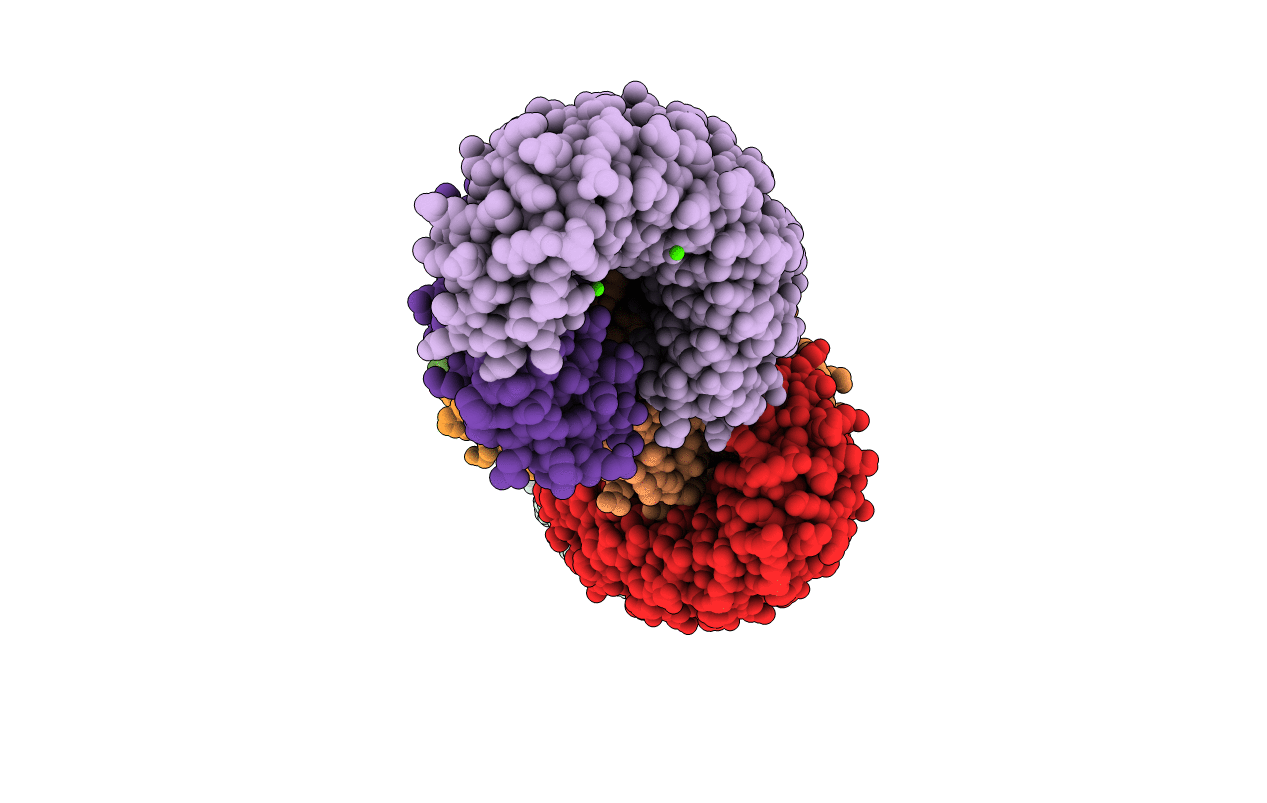 5MFD image