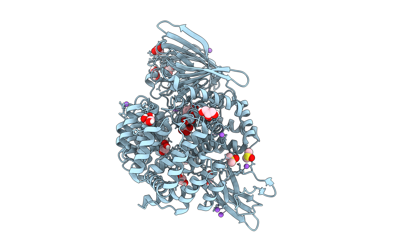 5MFR image