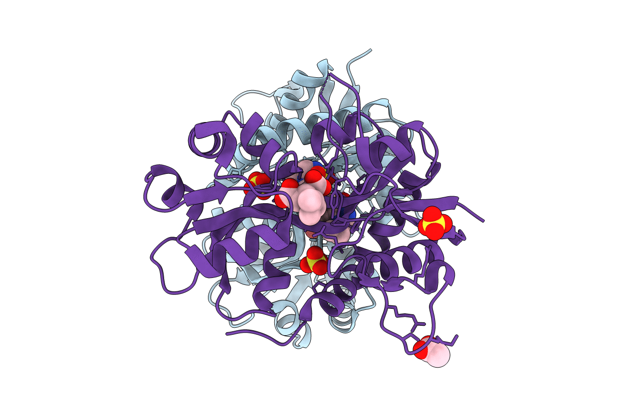 5MFV image