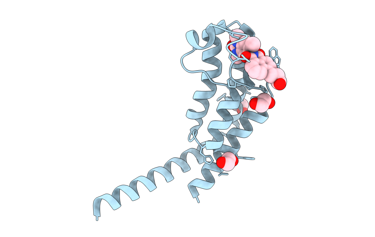 5MG2 image
