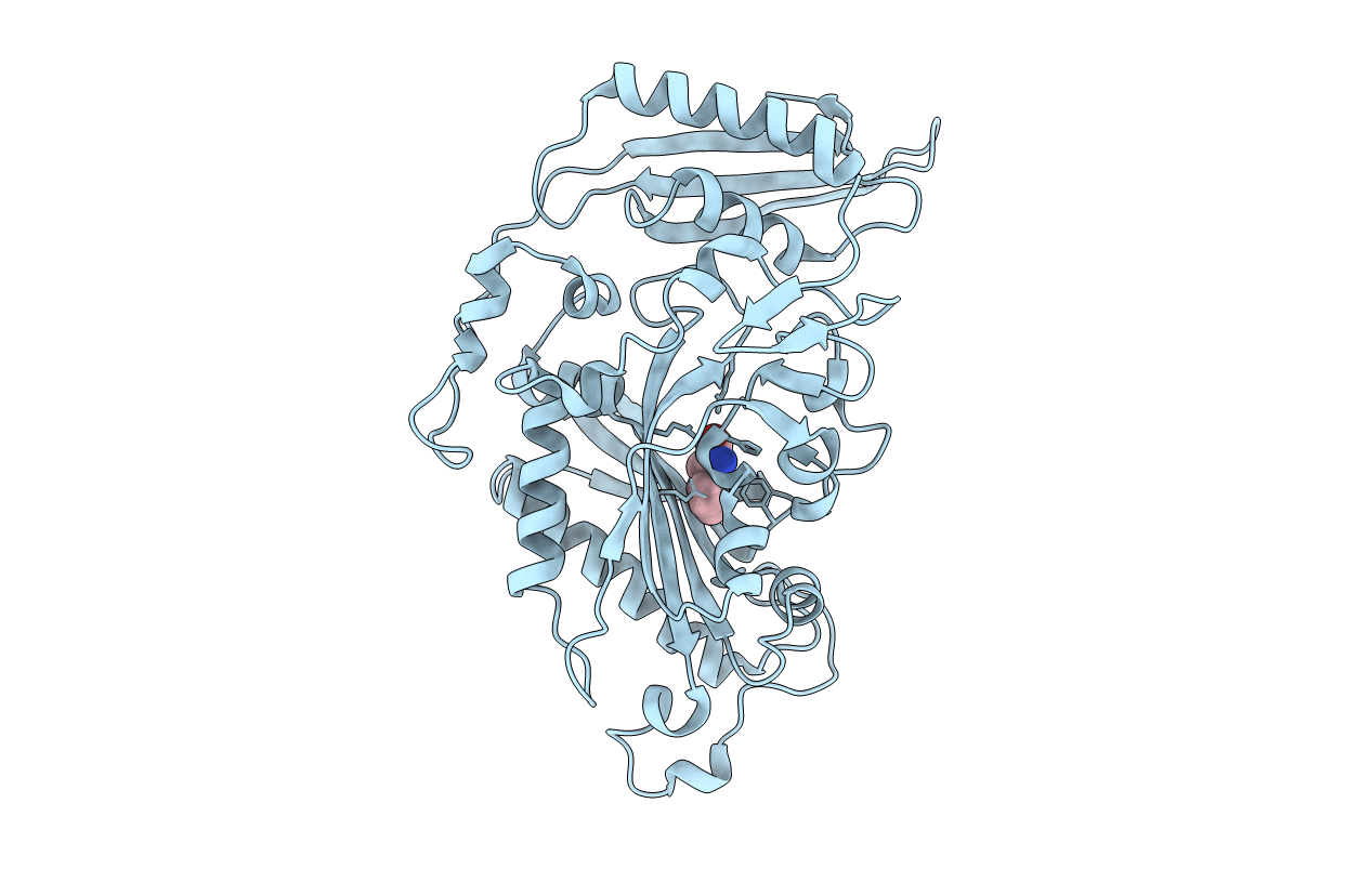 5MGH image
