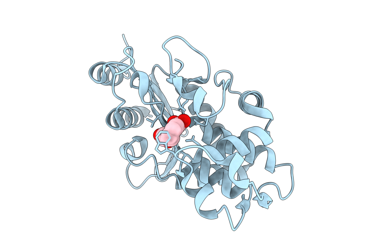 5MGI image