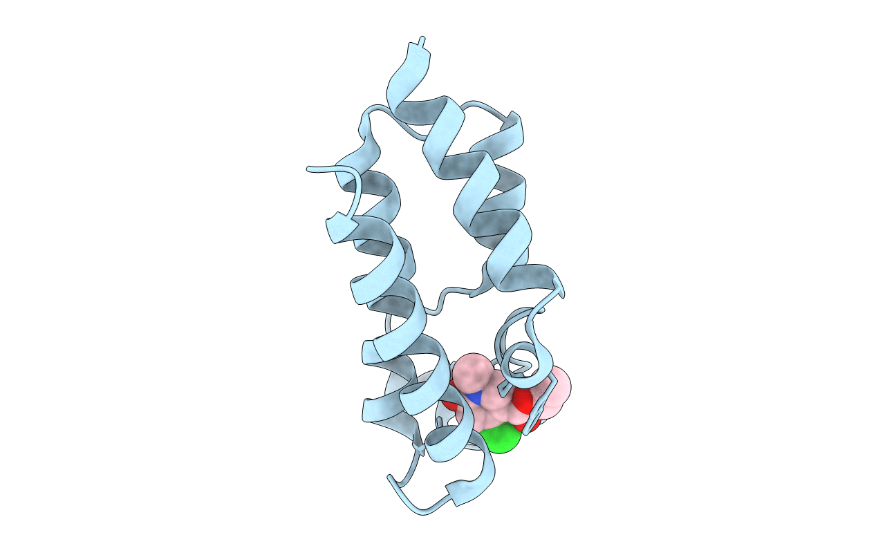 5MGJ image