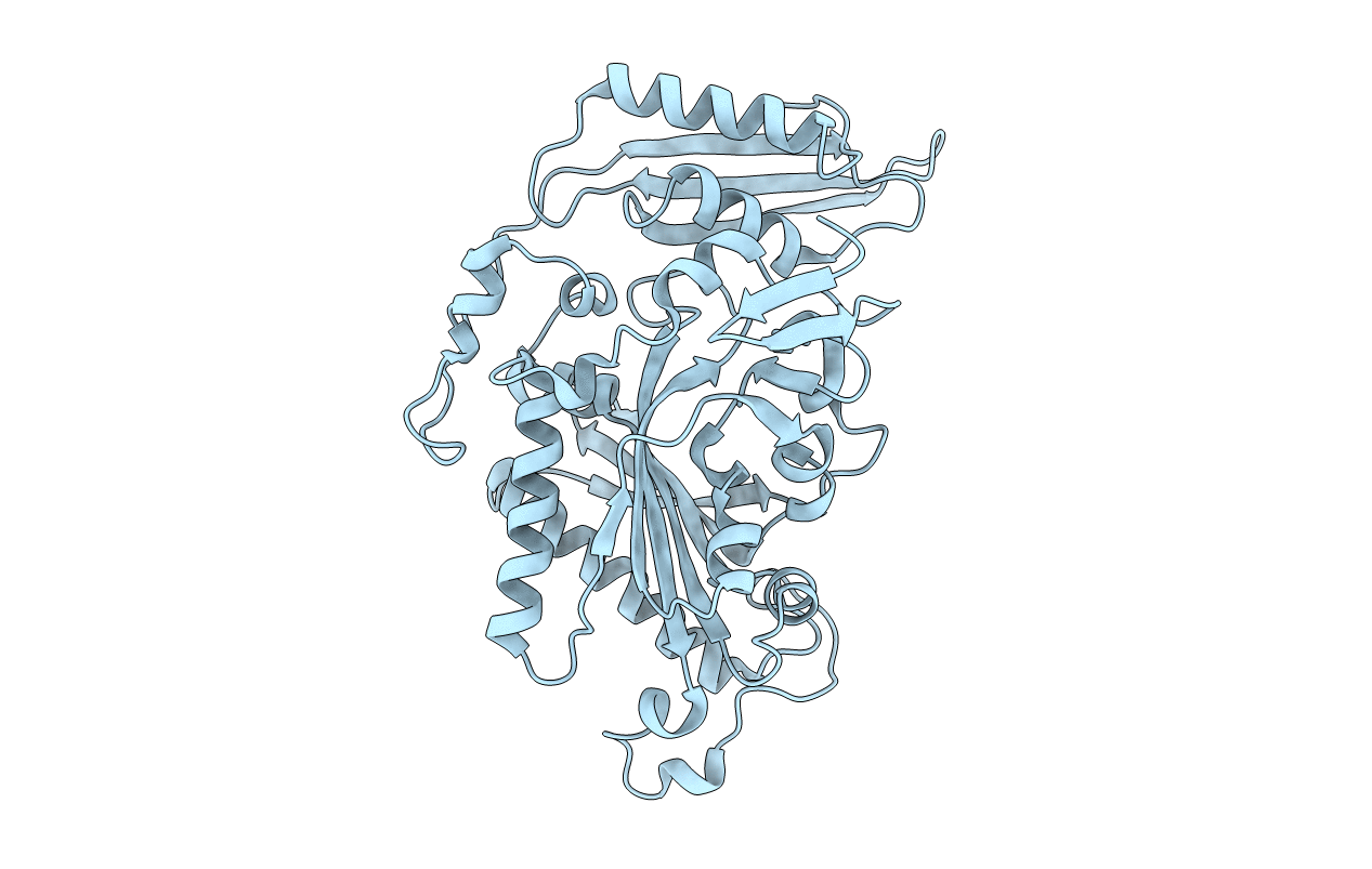 5MGV image