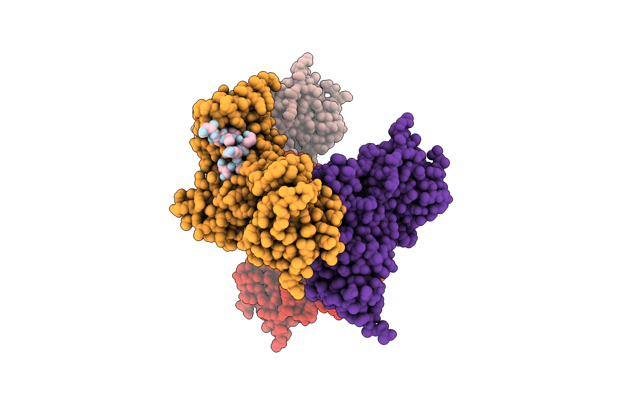 5MGX image