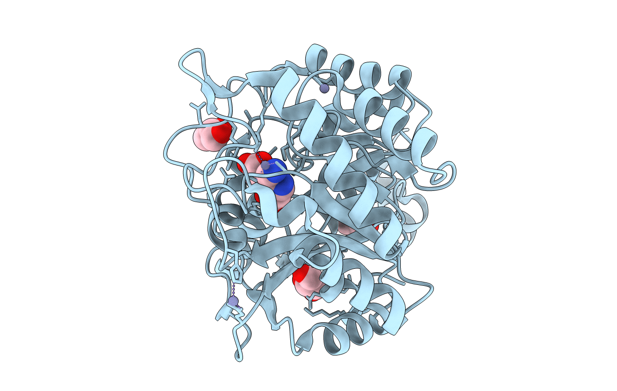 5MHB image