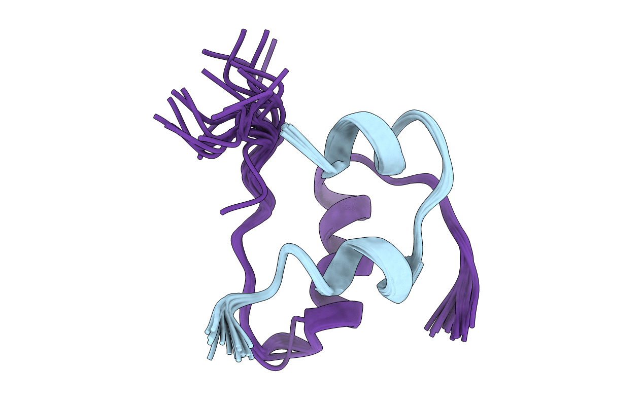 5MHD image