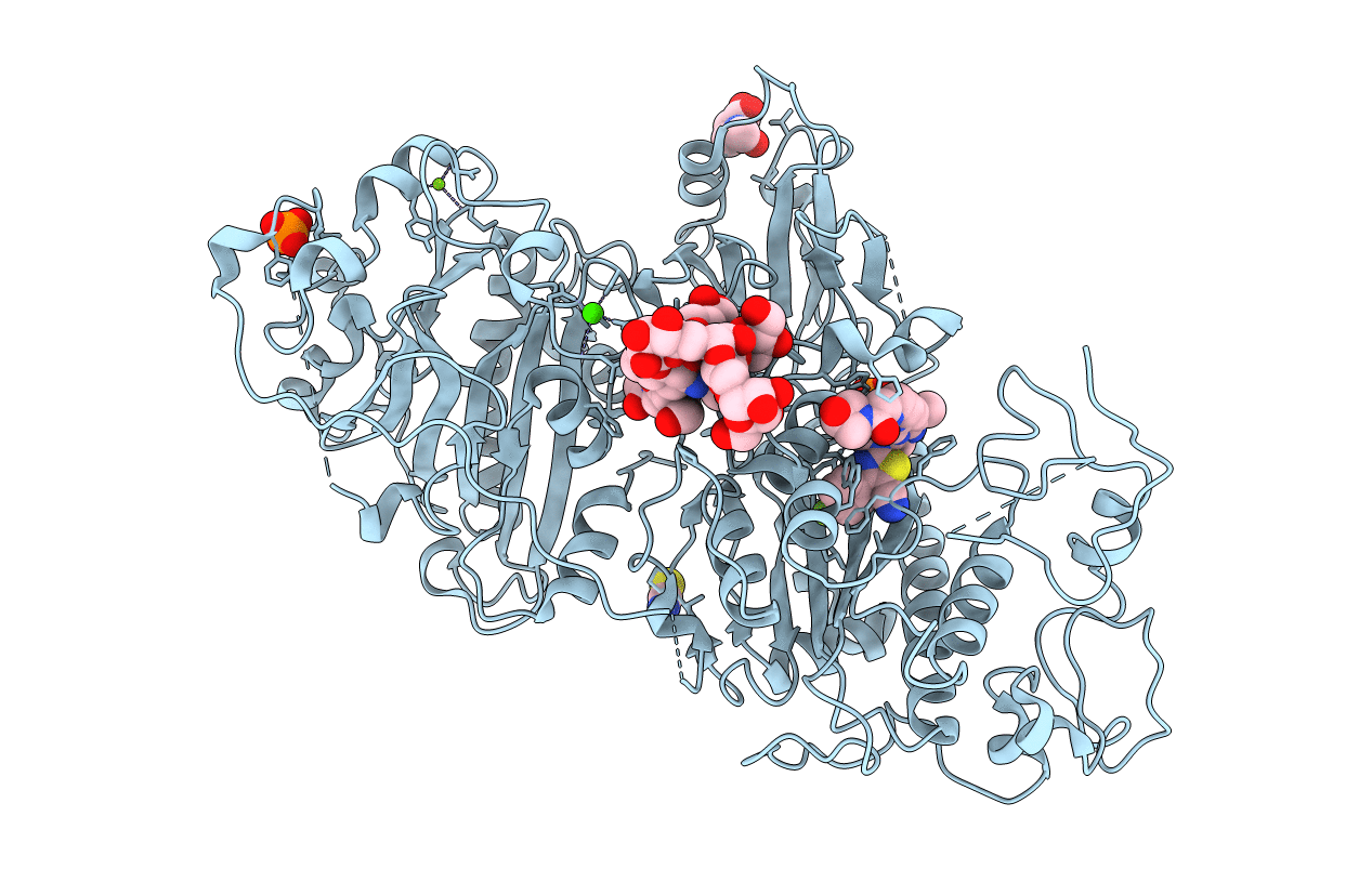 5MHP image
