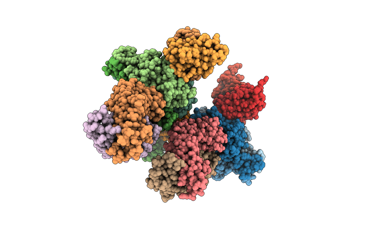5MHR image