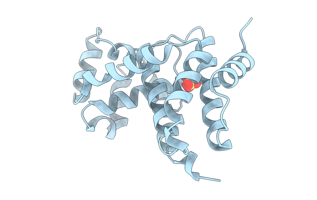 5MJR image