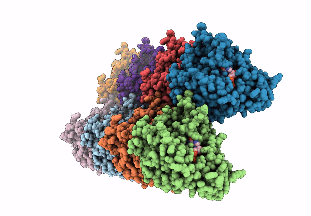 5MJS image