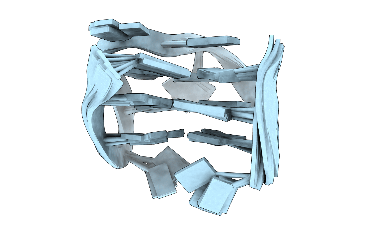 5MJX image