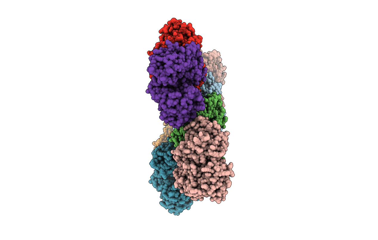 5MKB image