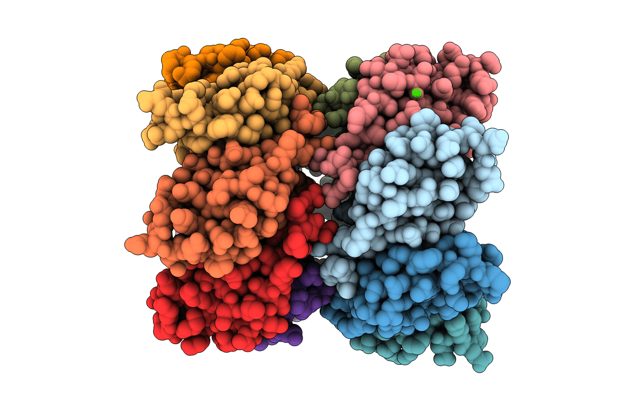 5MKI image