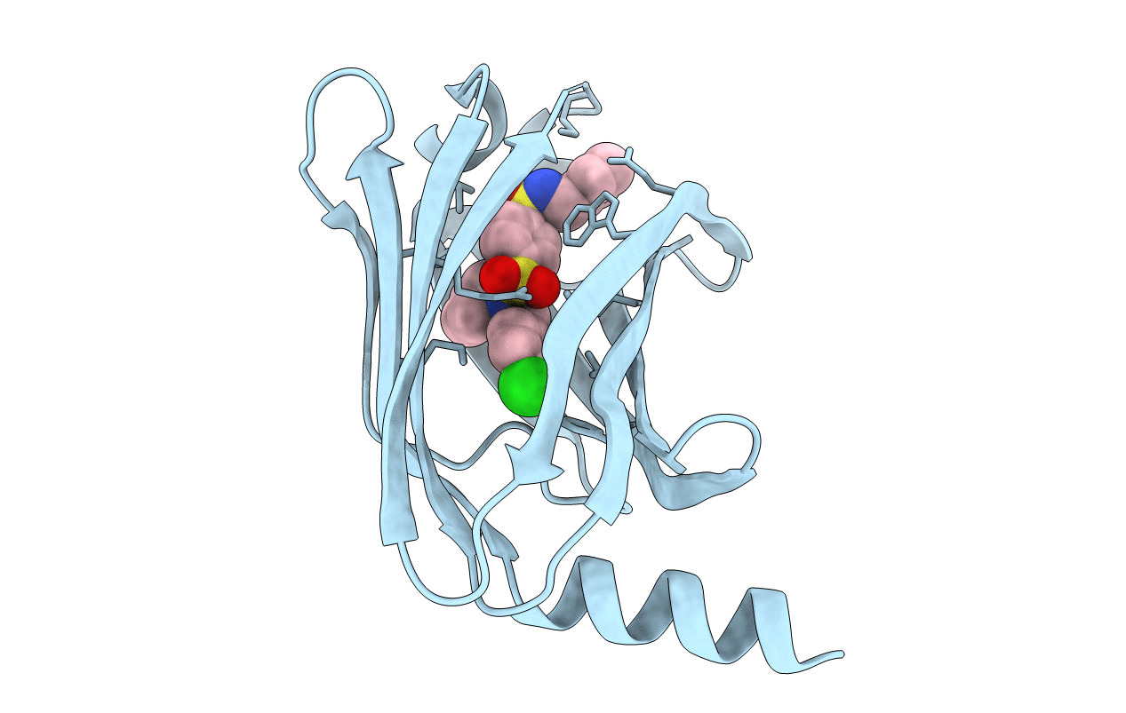 5ML2 image