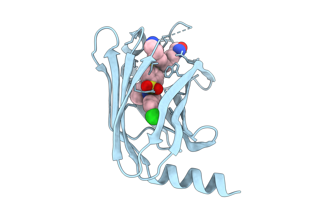 5ML6 image