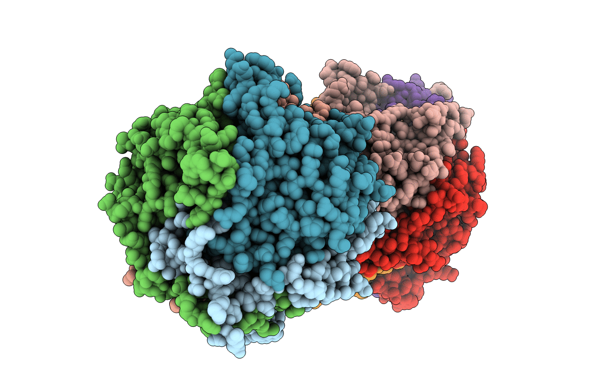 5MLD image