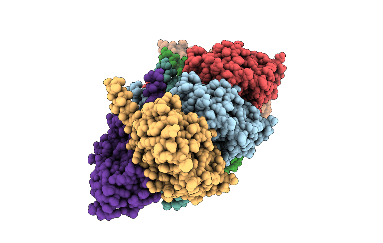 5MLF image