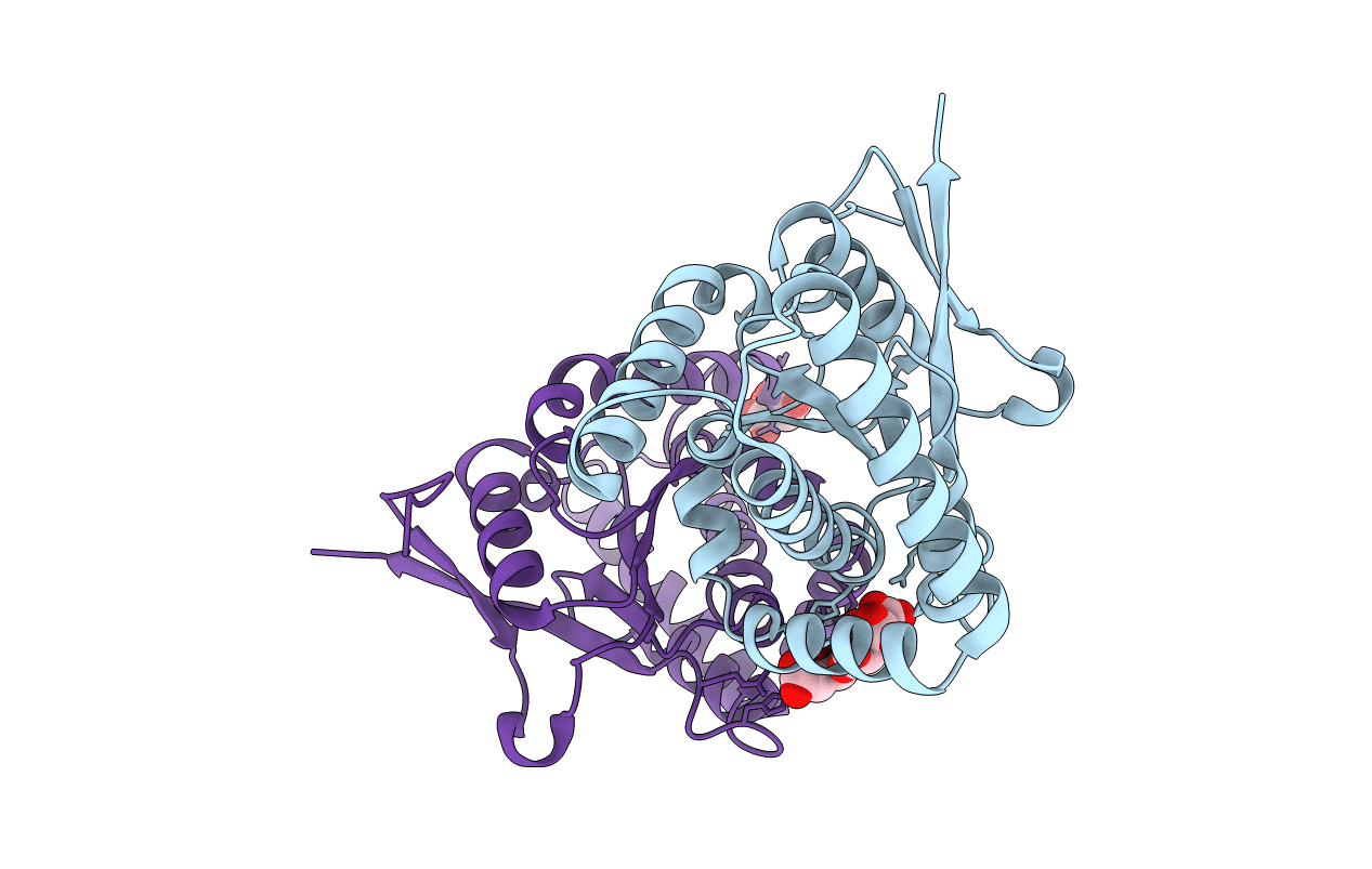 5MLQ image
